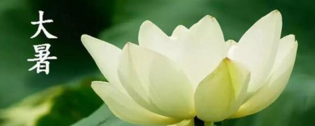 24节气大暑是什么意思 大暑简单简介