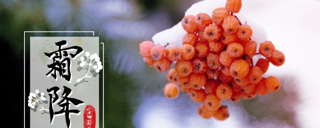 24节气霜降应该吃什么 霜降应该吃的食物