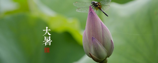 大暑各地饮食习惯 大暑各地有什么饮食习惯