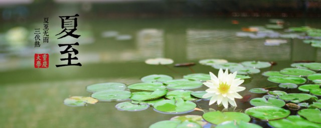 夏至的经典句子 夏至的经典句子有哪些