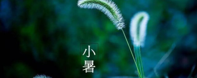 2021年小暑后第一个未日是什么时候 2021年小暑后第一个未日是何时
