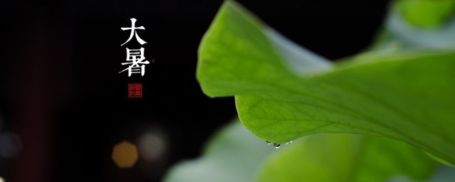 大暑是什么意思简单说明 大暑的意思