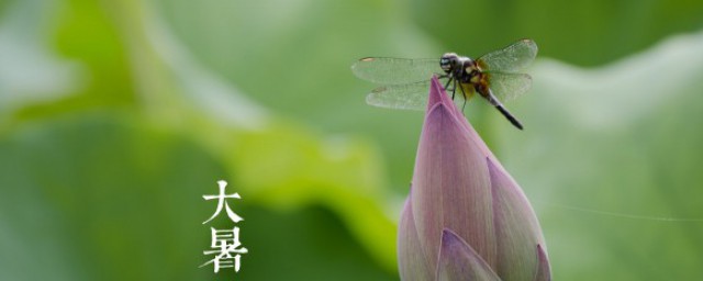 大暑养生重在祛湿养心 大暑养生重在祛湿养心的原因