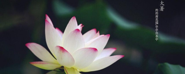 2021年大暑几点几分 2021年大暑是什么时候