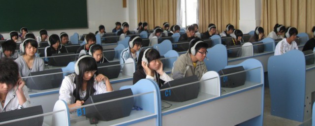 pets是什么意思 pets怎样解释