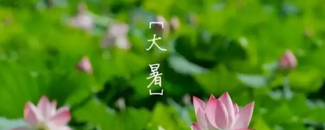大暑节气四种养生菜可口又健康 关于大暑节气四种养生的菜