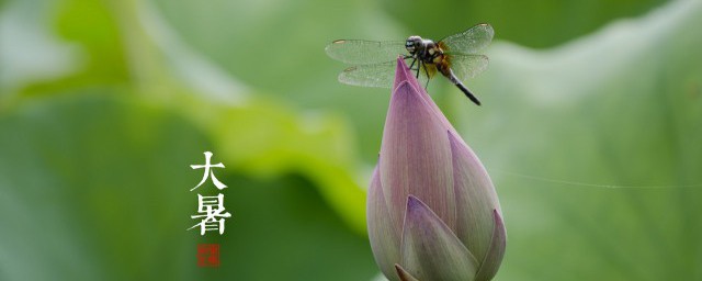 大暑祝福的话语 大暑节气祝福语文案
