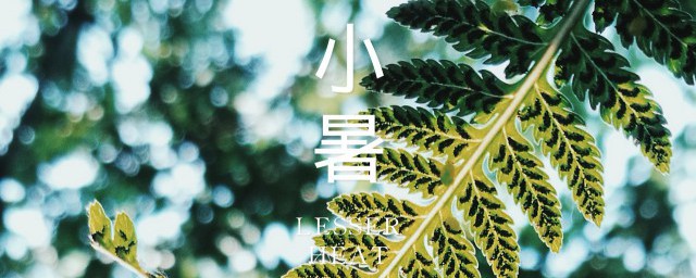 节气小暑是什么意思? 节气小暑的含义