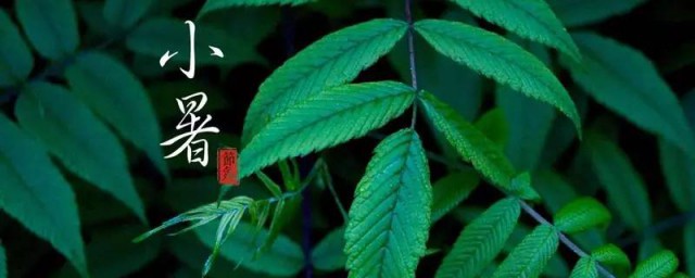 小暑的天气特点是怎么样的? 小暑的天气特点介绍