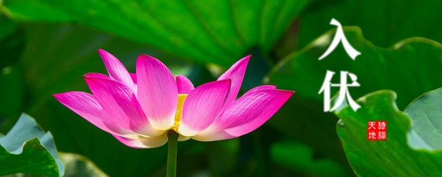 二零二一年入伏时间 三伏天计算方法介绍