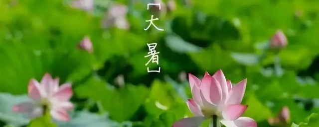 掰一掰大暑节气的民俗和养生 掰一掰大暑节气的民俗和养生有什么