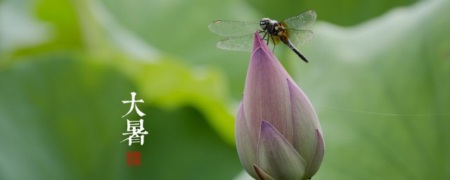 大暑防暑 大暑如何防中暑呢