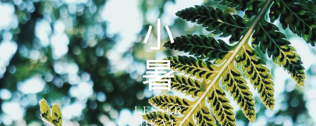 小暑时节的饮食调养 小暑时节饮食如何调养