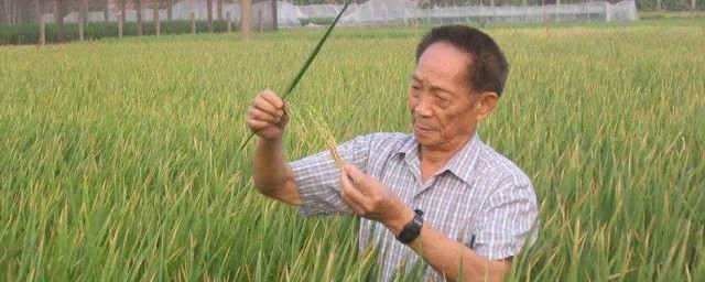 袁隆平生平简短介绍 袁隆平生平介绍