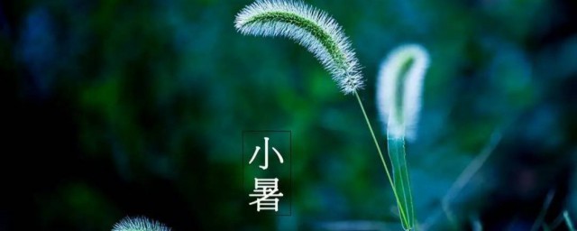 2021年小暑是什么时候 小暑的天气如何