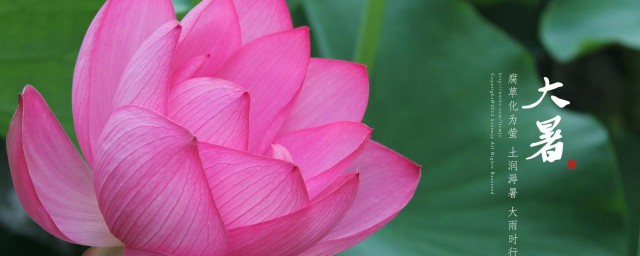2023年大暑是几月几日 大暑节气简介