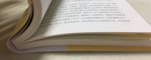 大海像什么比喻句 大海的比喻句有什么