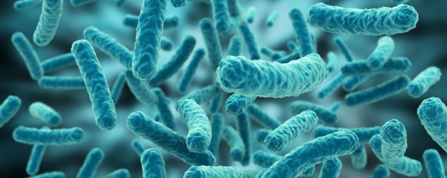 除病毒外组成生物体的基本单位是什么 除病毒外组成生物体的基本单位简介