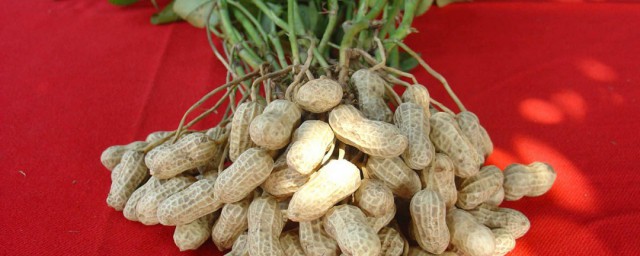 大量花生去壳小窍门 大量花生去壳方法分享