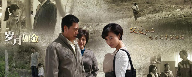 岁月如金剧情介绍 岁月如金剧情简介