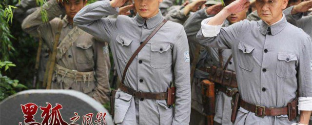 黑狐之风影剧情介绍 黑狐之风影简介