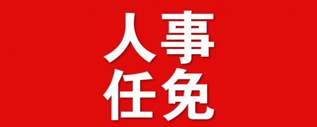 任免是什么意思 任免词语的解释