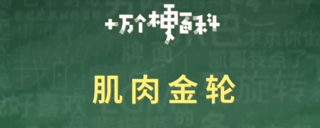 肌肉金轮是什么梗 肌肉金轮的脸是谁的