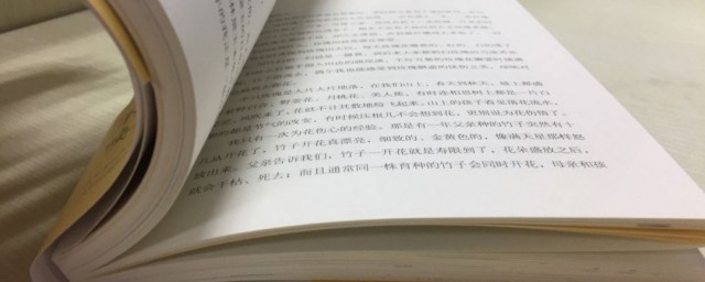 进口方融资是什么意思 进口方融资简介