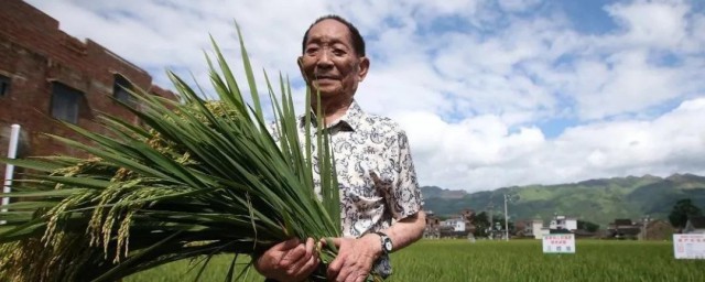 袁隆平是哪里的人啊 袁隆平祖籍哪里