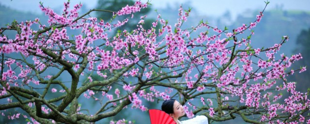 沐浴桃花是什么意思 沐浴桃花的意思