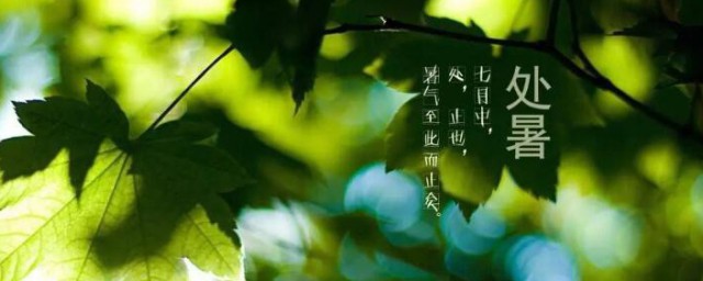 处暑文案 处暑文案有哪些