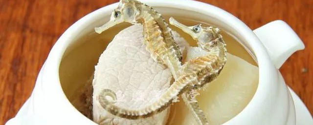 海马汤补肾的做法大全 海马汤补肾的各种做法