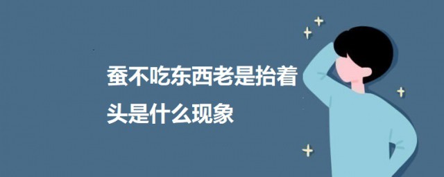 蚕不吃东西老是抬着头是什么现象 蚕不吃东西老是抬着头意味什么