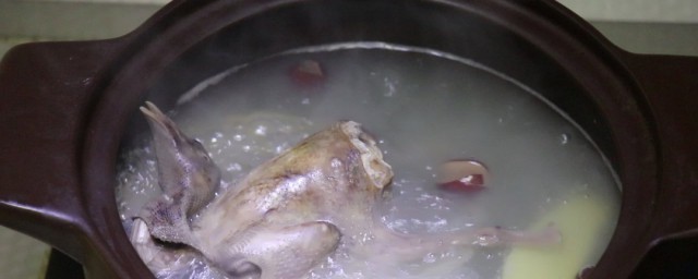 天麻乳鸽汤的做法与功效 天麻乳鸽汤怎么做与功效