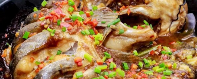 剑骨鱼是什么鱼 剑骨鱼介绍