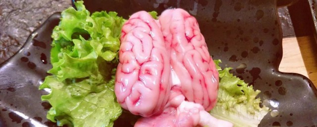猪脑如何清洗 猪脑怎样清洗