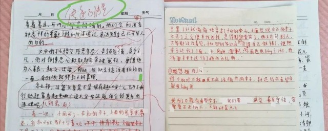 作文怎么批改 作文批改标准