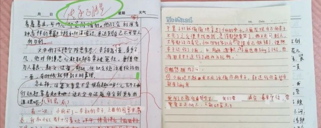 作文怎样批改 作文批改标准