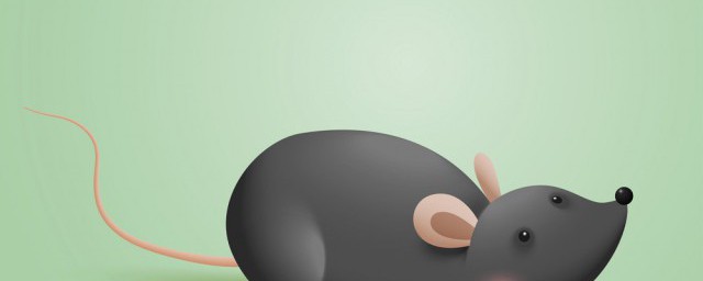 开灯睡觉老鼠会活动吗 开灯睡觉老鼠会出来活动吗