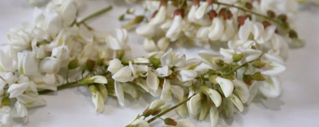 槐花怎样长期保鲜 槐花长期保鲜的做法
