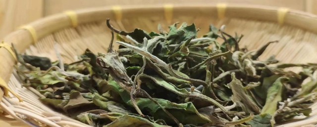 白茶的储存技巧和条件 白茶要怎样储存