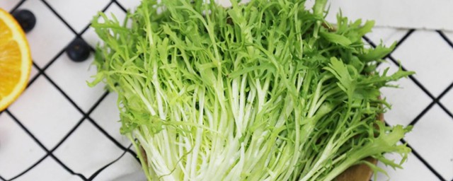 菊苣在农村叫什么 农村怎么称呼菊苣