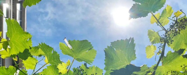 进入夏天的标准是什么 进入夏天的标准介绍