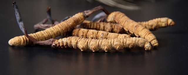 虫草发霉还能吃吗 虫草发霉能不能吃
