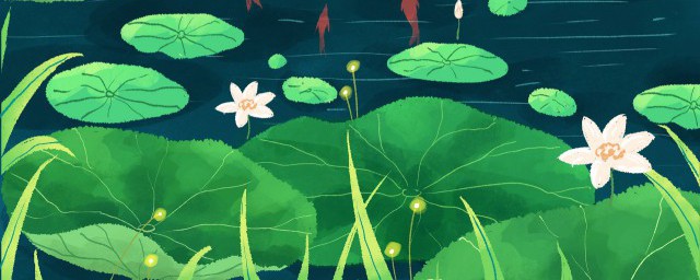 夏至后节气 夏至后的节气