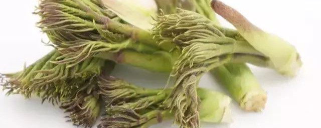 刺嫩芽的食用方法 刺嫩芽吃法