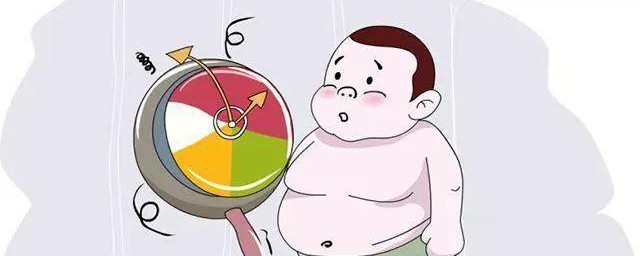 怎么养胖 养胖的方法