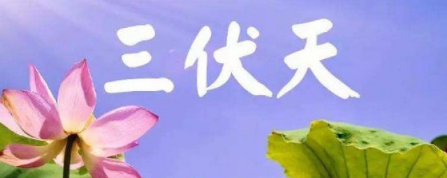 暑伏是什么时间开始的 三伏天需要注意什么?