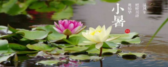 小暑的文案短句 适合小暑发朋友圈的句子