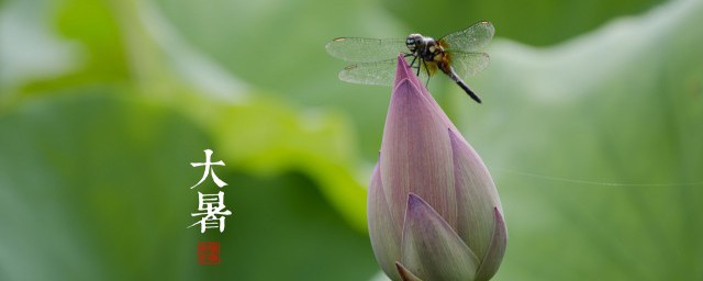 大暑的文案句子 大暑文案句子怎么写
